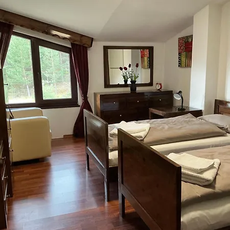 Violet Cozy - * Bansko