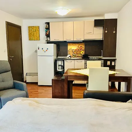 Apartment Violet Cozy - *