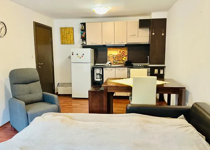 Apartment Violet Cozy - *