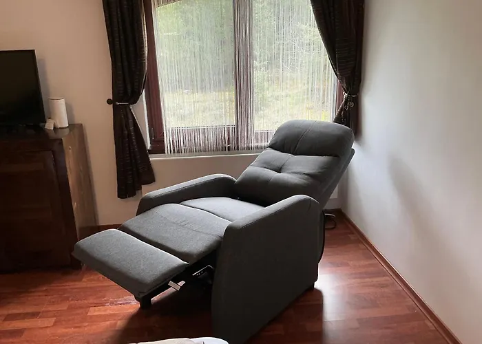 Apartment Violet Cozy - *