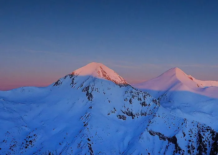 Apartment Violet Cozy - *