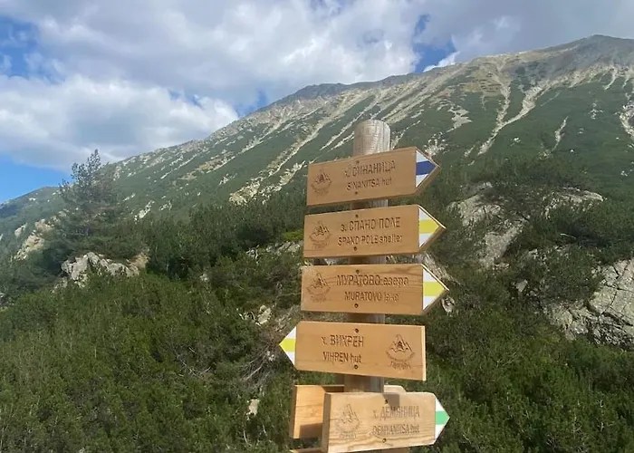 Apartment Violet Cozy -