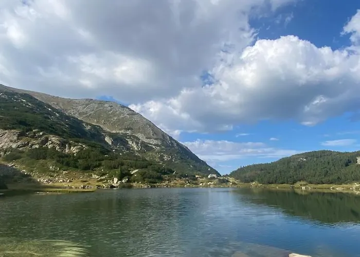 Violet Cozy - Apartment