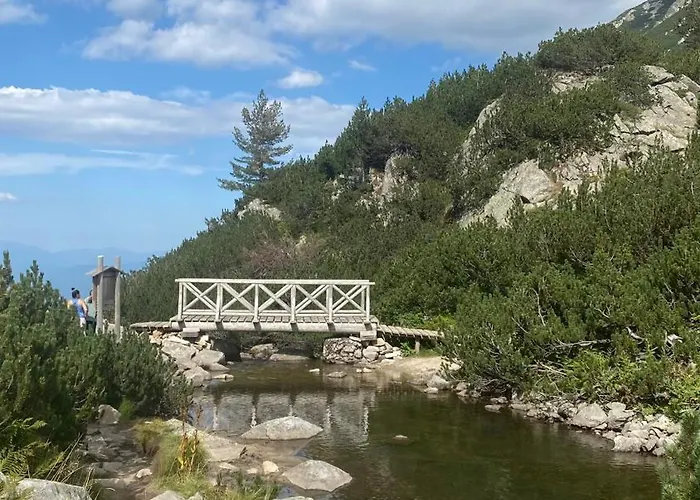 Violet Cozy - Apartment *