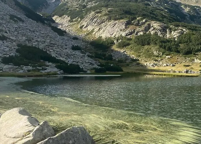 Violet Cozy - Bansko